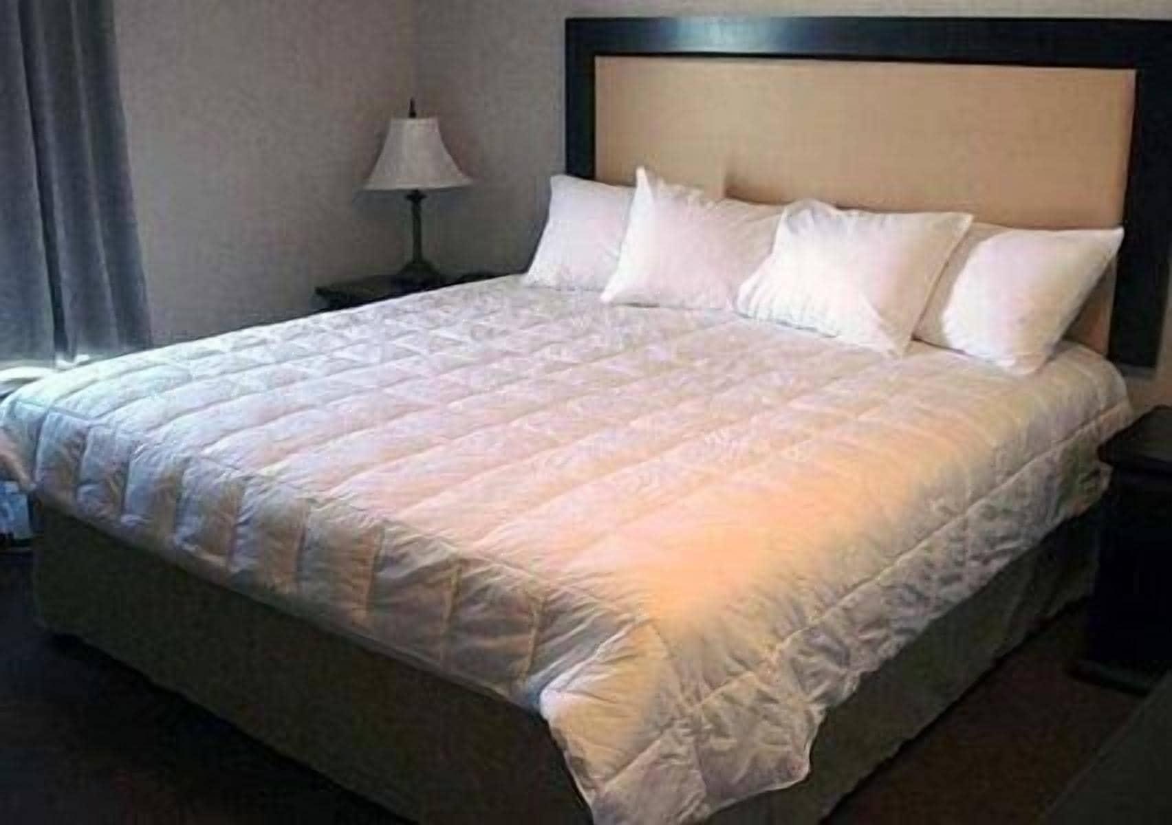 Quality Inn & Suites Lethbridge Dış mekan fotoğraf